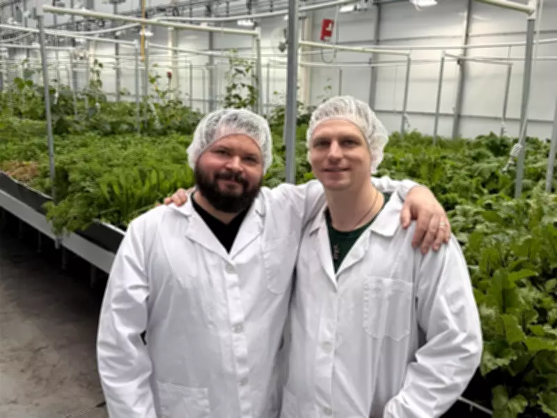 Southern Alberta Business Transforms Former Cannabis Facility into Mushroom Farm