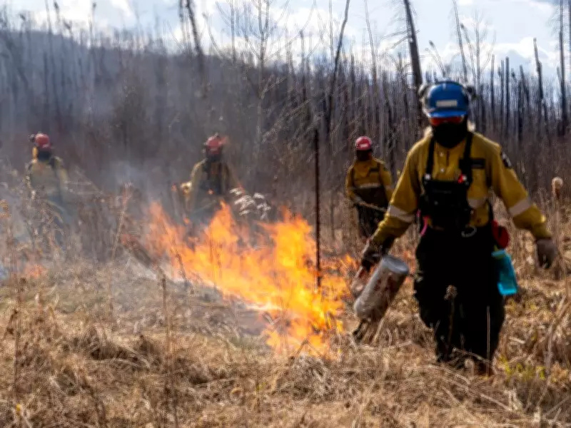 Southern Alberta's Dry Wildfire Conditions Raise Concerns as Spring Approaches