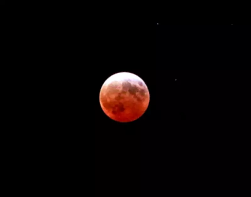 Southern Ontario to Witness Rare Blood Moon Phenomenon on Tuesday Morning
