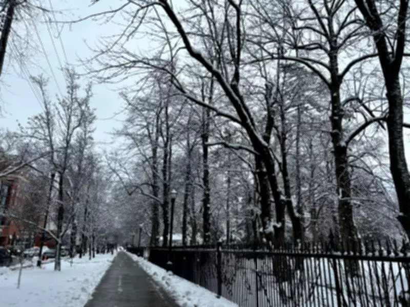 Spring Snowfall Continues in Maritimes, Meteorologist Provides Updates