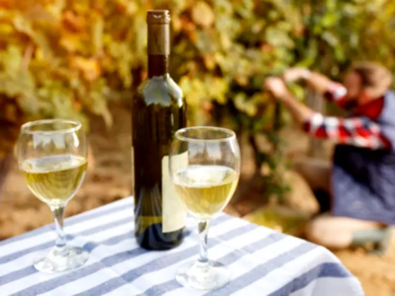 Spring Wine Guide: Embracing Seasonal Shifts with Sauvignon Blanc and Pinot Noir