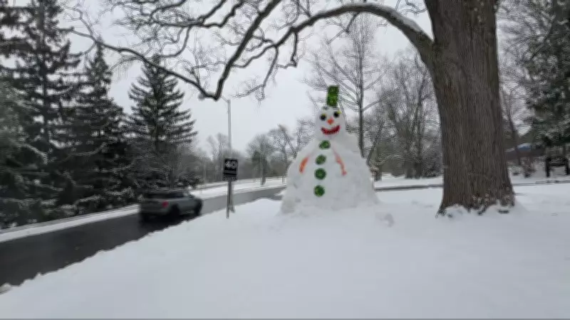 Spring's Ironic Welcome: Ottawa Braces for 5-10 cm Snowfall on First Day of Spring