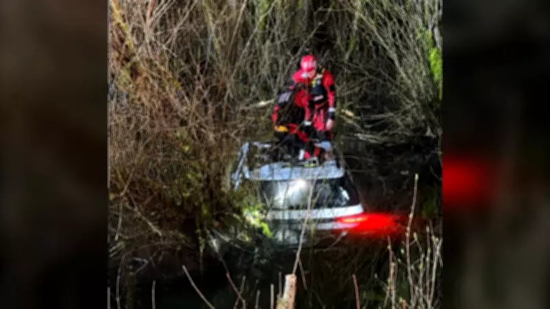 Squamish Firefighters Execute Dramatic Rescue of Four People and Dog from Sinking Vehicle
