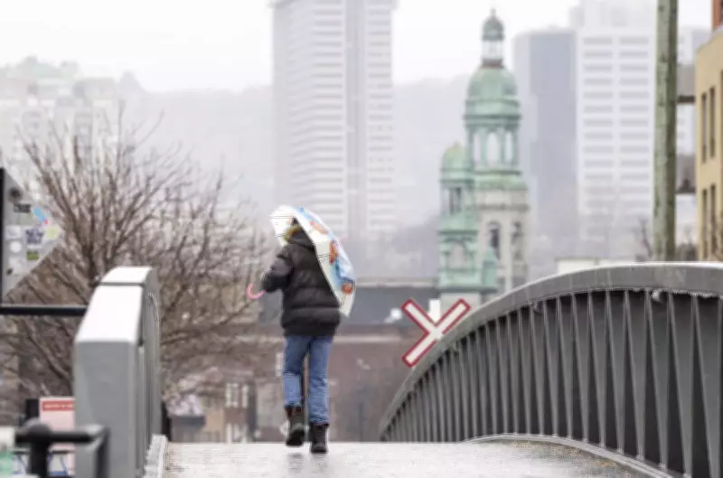 Stormy Weather Leaves Thousands Without Power Across Quebec