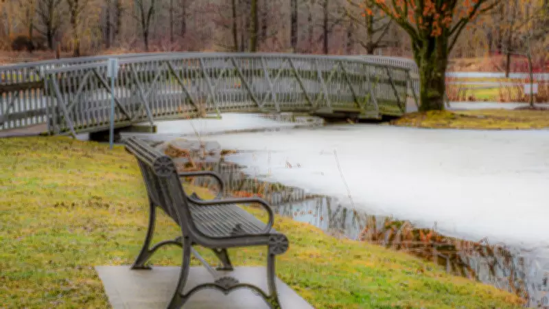 Stormy Wednesday Brings Heavy Rain and Strong Winds to Windsor-Essex Region