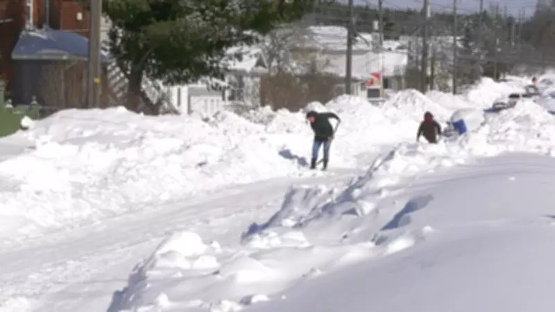 Sudbury Halts Garbage and Recycling Collection Until Late March After Major Snowfall