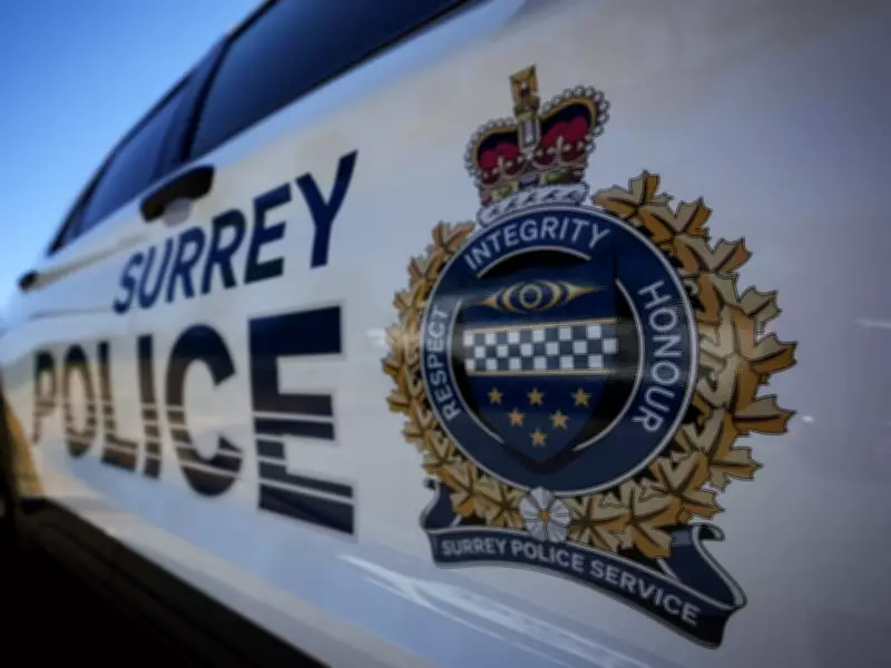 Surrey Business Targeted in Overnight Shooting in Cloverdale Area