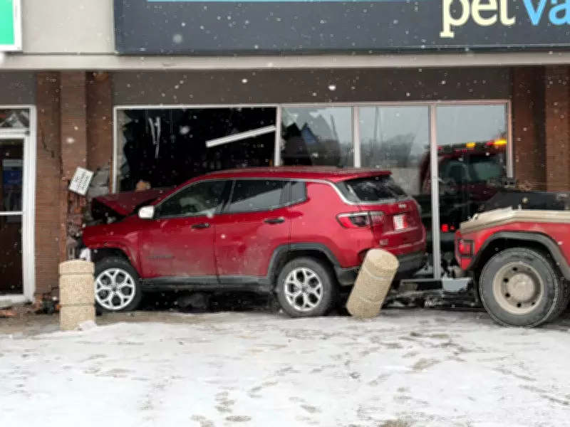 SUV Crashes into Winnipeg Pet Store, No Injuries Reported in Marion Street Incident