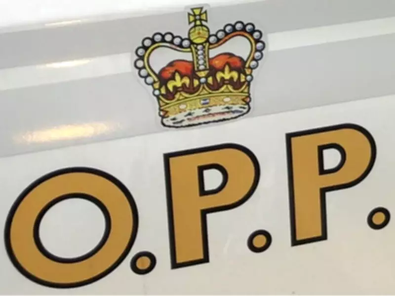 Tecumseh Woman Faces 64 Fraud Charges Over $30,000 Misappropriation