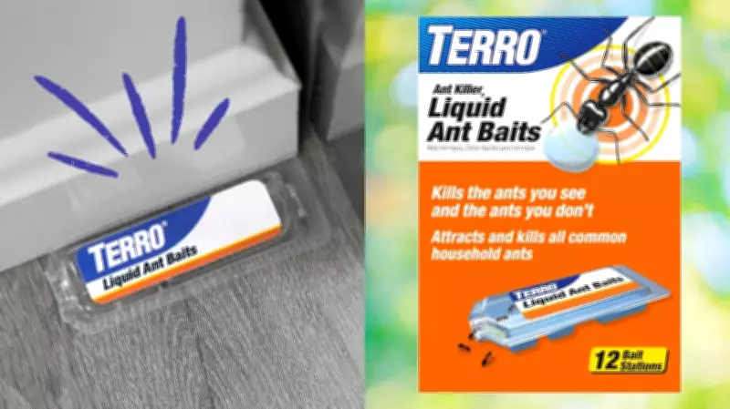 Terro Liquid Ant Baits: The Ultimate Solution for Eliminating Ant Colonies