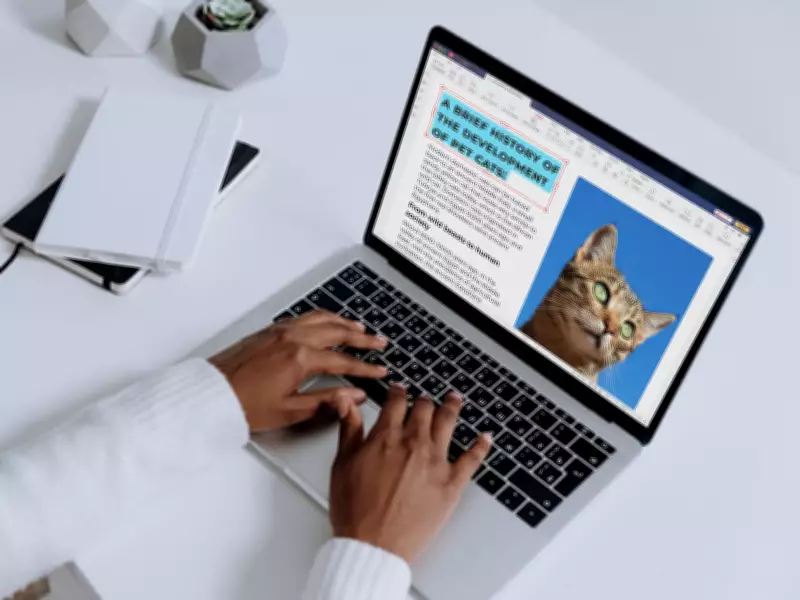 The Enduring Relevance of PDF Workflows in a Cloud-First Economy