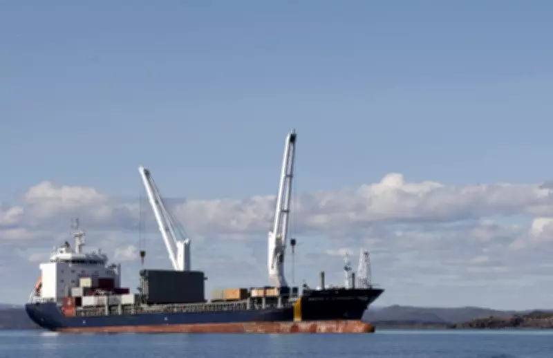 Three Canadians Safely Return Home After Being Stranded on Ship in Persian Gulf