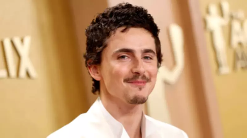 Timothée Chalamet's Ballet and Opera Remarks Spark Backlash from Performers