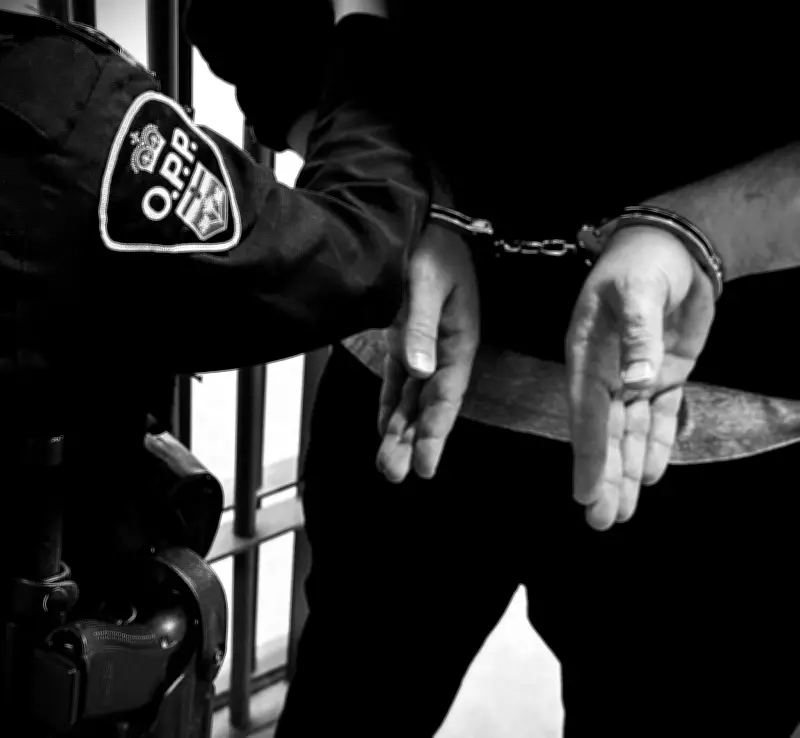 Tiny Township Driver Arrested After Crashing into Utility Pole and Attempting to Flee