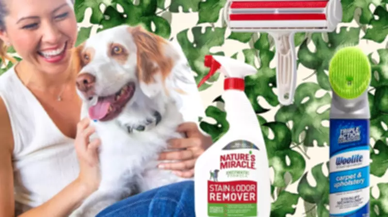 Top Pet Cleaning Products Recommended by Experts for a Spotless Home
