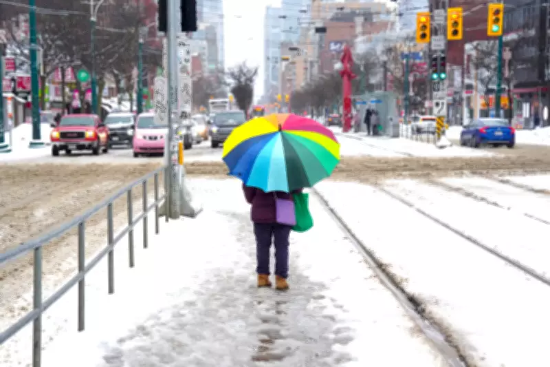 Toronto Braces for Freezing Rain: Yellow Warning Issued, Precipitation Timeline