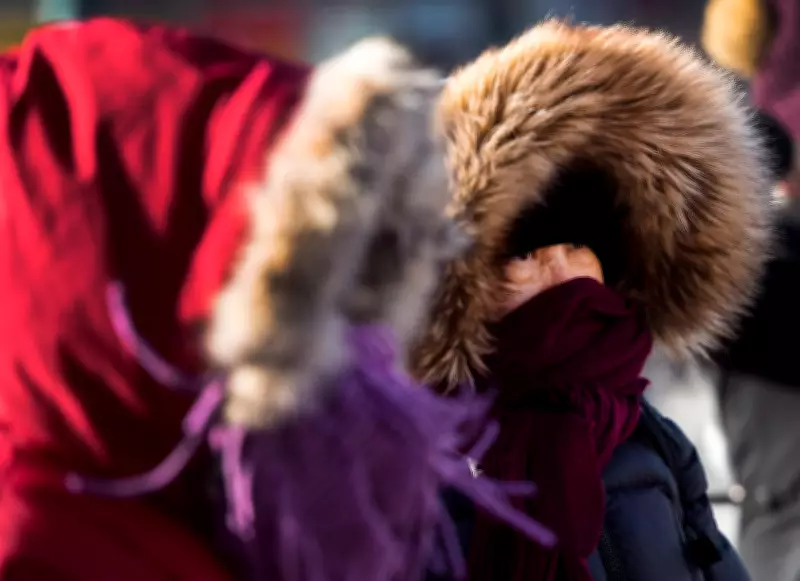 Toronto Braces for Powerful 80 km/h Winds Following Monday Night Snowfall