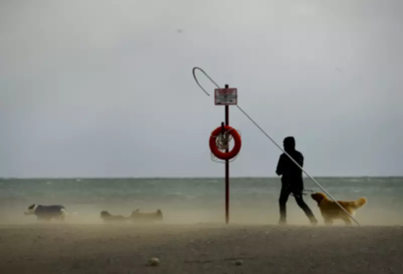 Toronto Braces for Powerful Wind Gusts Up to 90 km/h on Monday