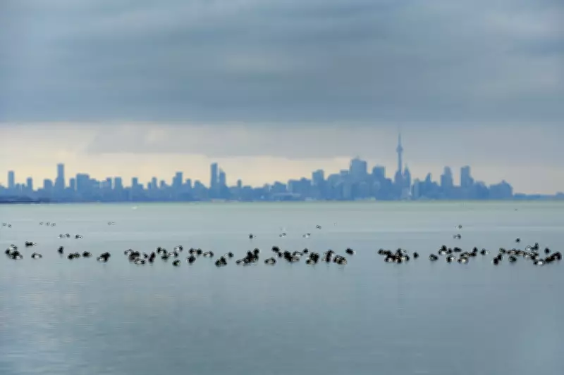 Toronto Issues Air Quality Warning Over High Pollution Levels Tonight