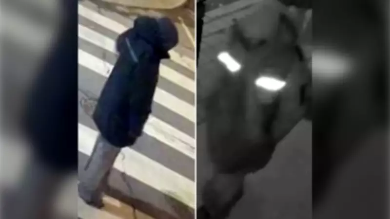 Toronto Police Hunt Suspect in Alleged Parkdale Sexual Assault