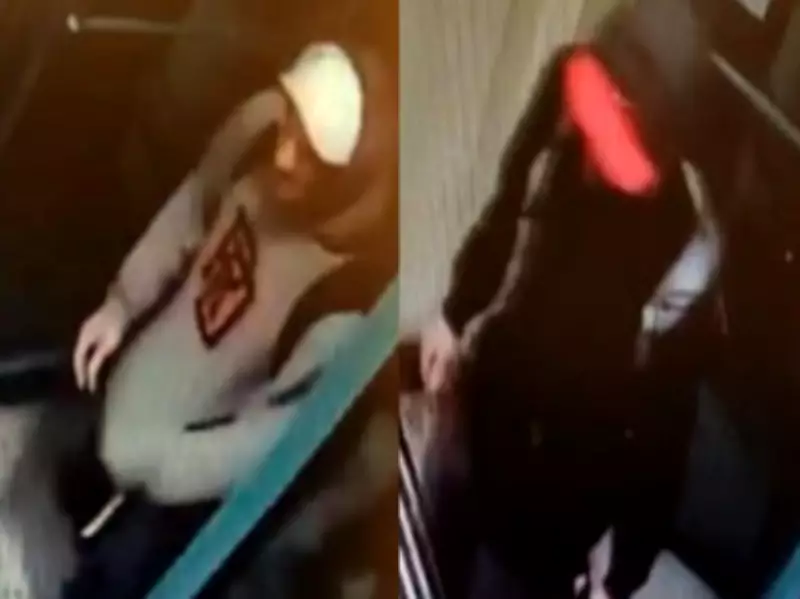 Toronto Police Seek Suspects in Beaches Condo Break-In; Pedestrian Dies After Etobicoke Collision