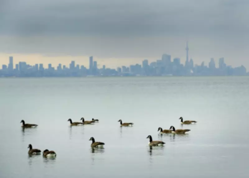 Toronto Shatters High Temperature Record Amidst Unseasonable Warmth