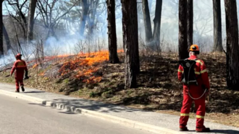 Toronto to Conduct Controlled Burns in High Park and Lambton Park for Savannah Protection