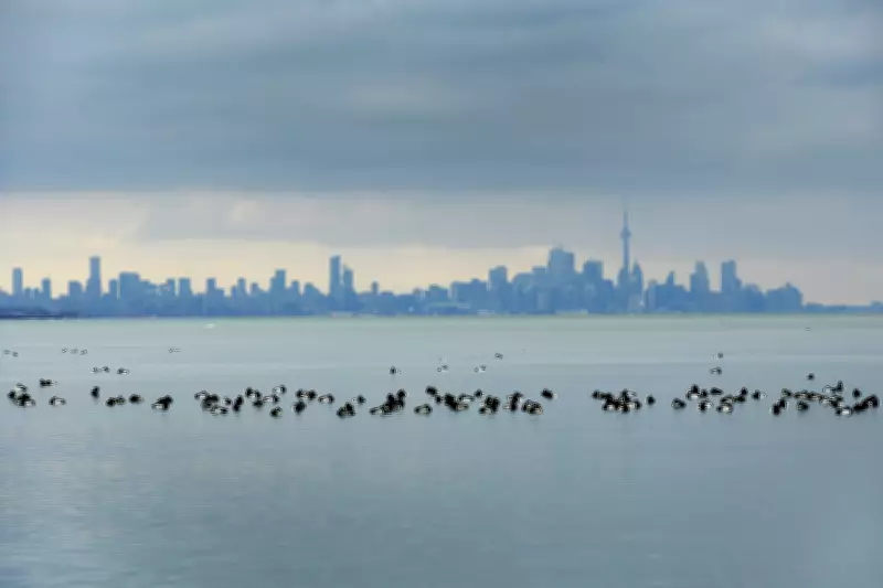 Toronto's Air Quality Alert Lifted After Environmental Conditions Improve