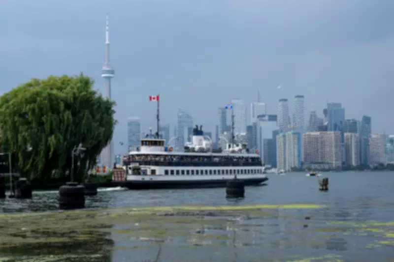 Toronto's New Electric Ferries Await Names: Public Voting Now Open