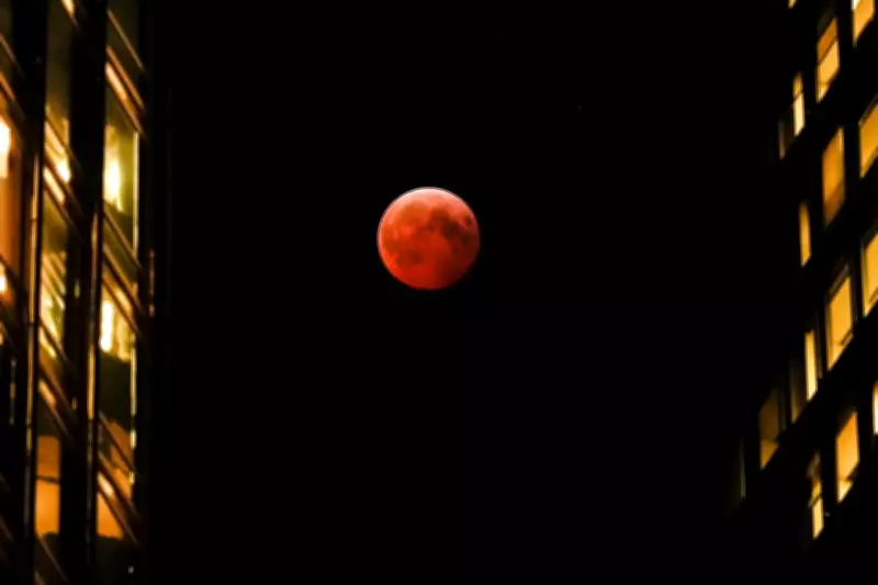 Toronto's Night Sky to Glow Red: Total Lunar Eclipse 'Blood Moon' Arrives