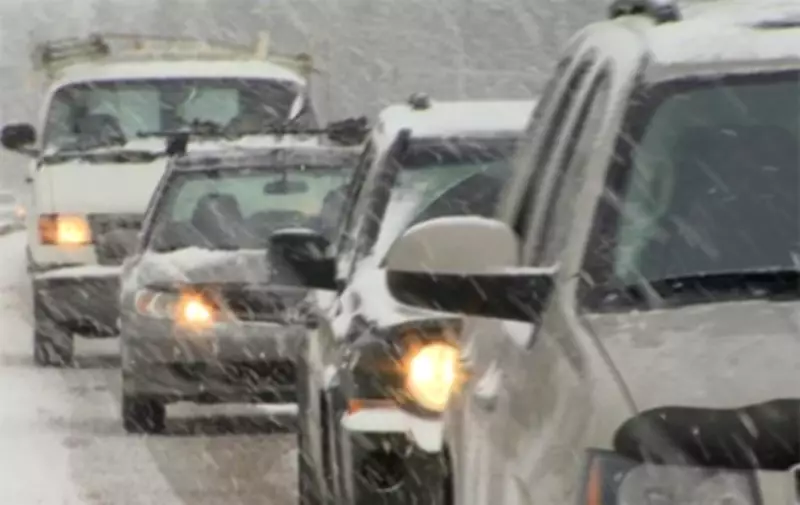 Tribunal Rules B.C. Snowstorm Not an 'Act of God' in Spoiled Food Delivery Case