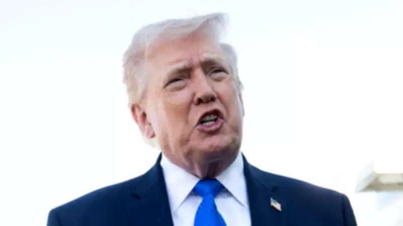 Trump Claims Credit for ICE Airport Deployment, Compares Idea to Paper Clip