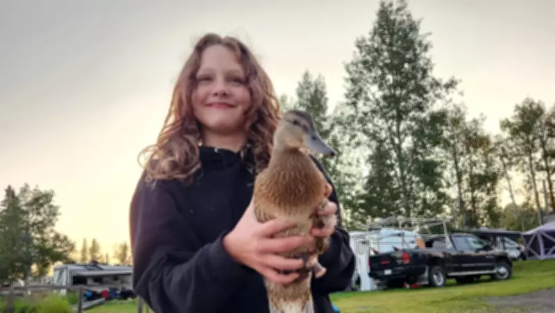 UFC President Offers to Fund Care for Tumbler Ridge Shooting Victim Maya Gebala