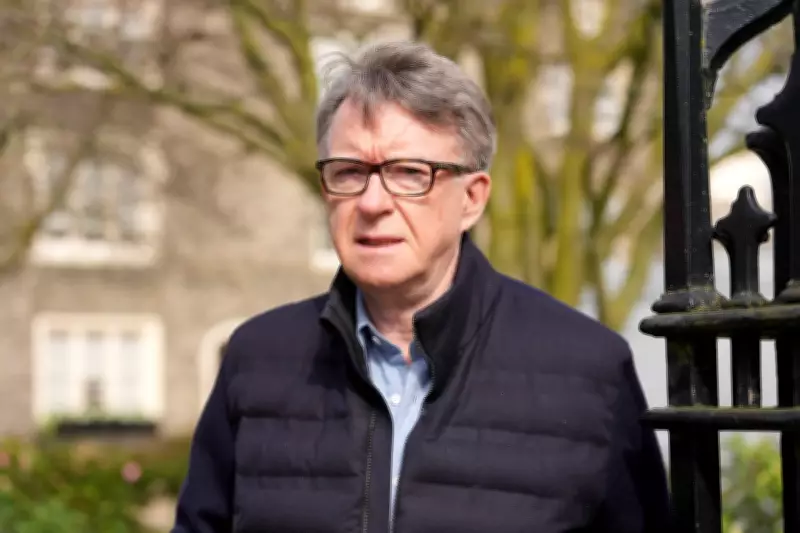 UK Government Releases Files on Epstein Associate Mandelson's Ambassador Appointment