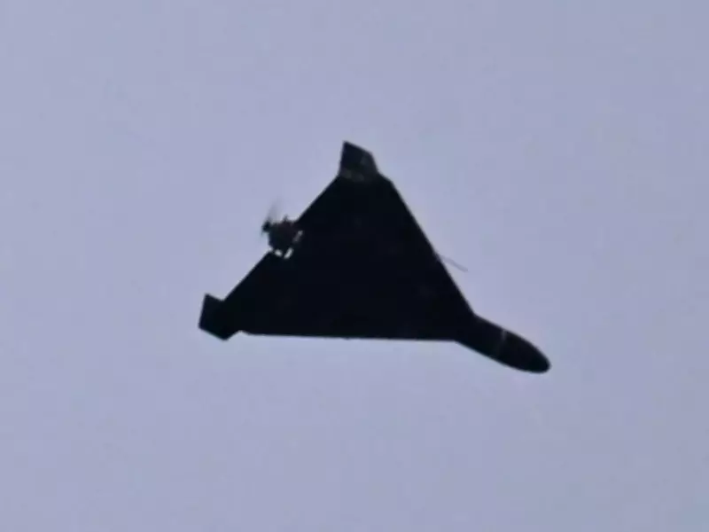 Ukraine Receives 11 Requests for Drone Defense Expertise from Global Allies