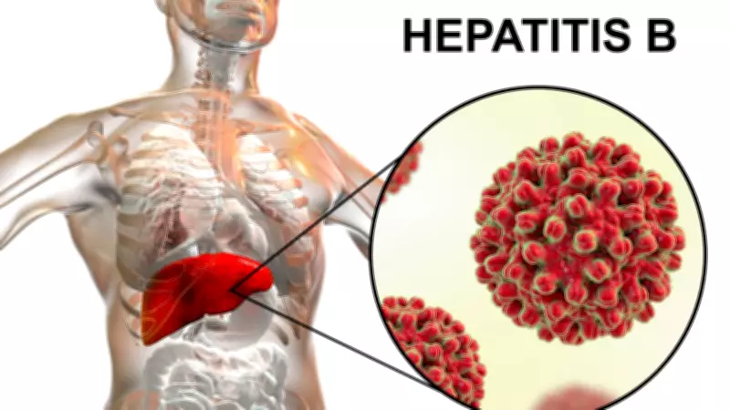 Understanding Hepatitis B: Symptoms, Treatments, and Liver Health Insights