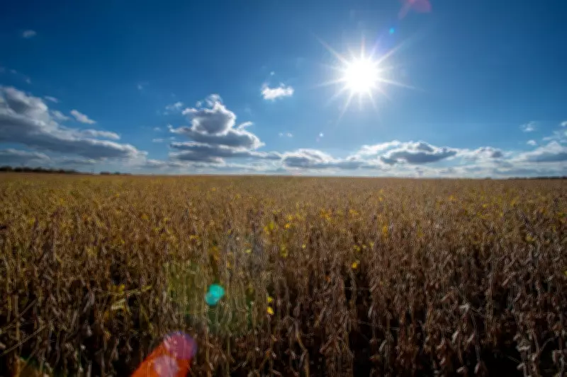 U.S. Farmers Sell Crops Amid Iran War-Driven Market Rally