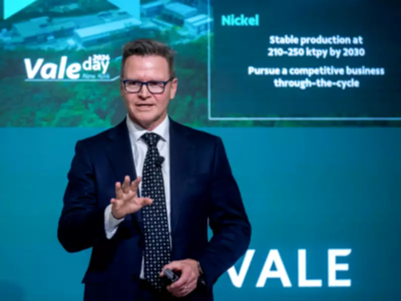 Vale Base Metals Prioritizes Organic Growth Over Acquisitions and IPO