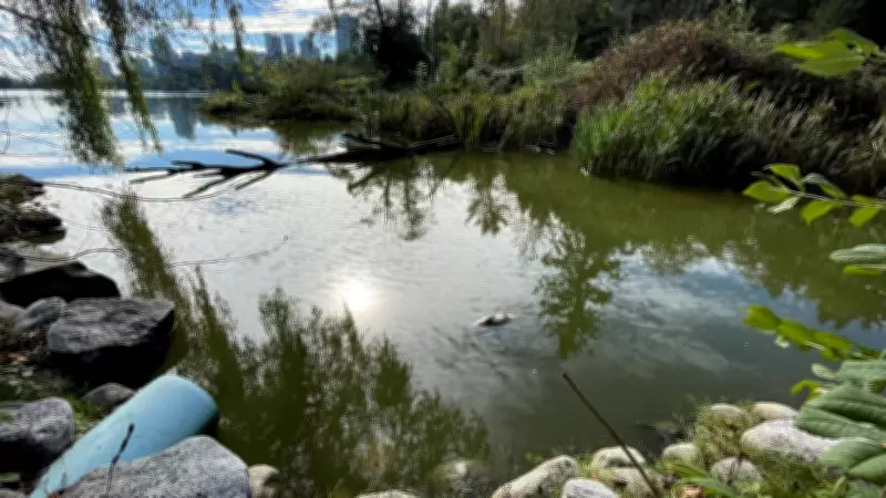 Vancouver Park Board to Vote on $30 Million Plan to Reconnect Lost Lagoon to Ocean
