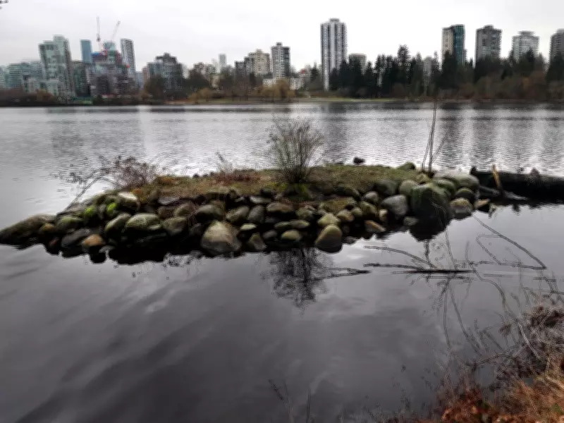 Vancouver's $30 Million Plan to Restore Lost Lagoon as Tidal Flat