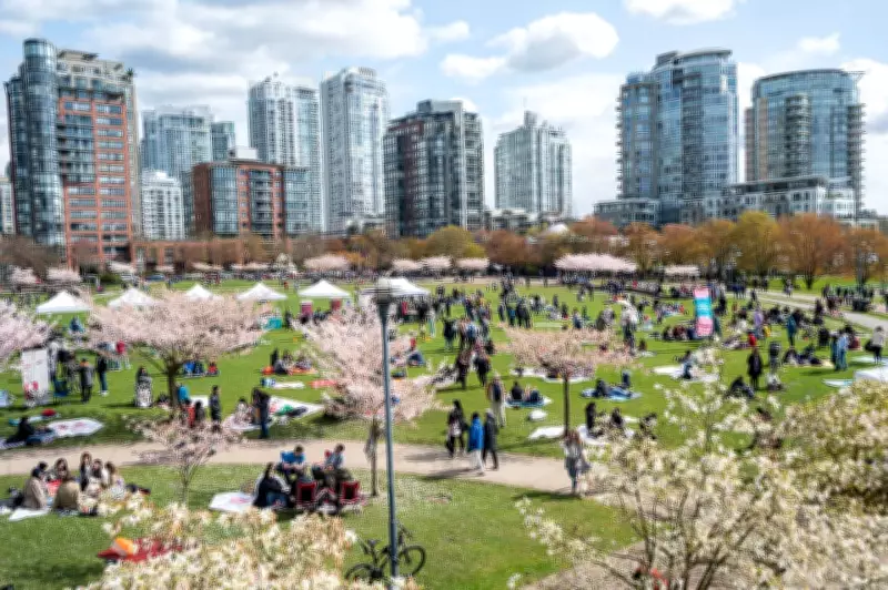 Vancouver's Final March Weekend: Cherry Blossoms, Monster Trucks & More