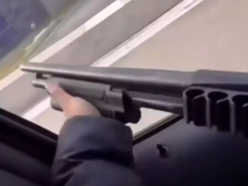 Vaughan Shooting Suspects Flaunt Crime on Social Media, Police Investigate