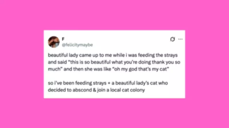 Weekly Roundup of Hilarious Pet Posts to Brighten Your Day