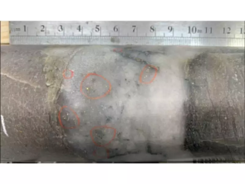 West Red Lake Gold Reports Positive Drill Results from Rowan Mine Project