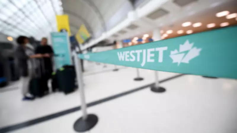 WestJet Plane Tail Strikes Ground During Halifax Takeoff, Investigation Underway