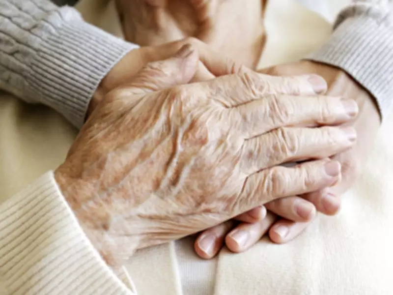 What Earth's Longest-Lived Animals Reveal About Better Human Aging