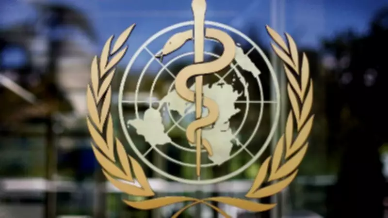 WHO Reports 64 Killed in Attack on Sudan Healthcare Facility