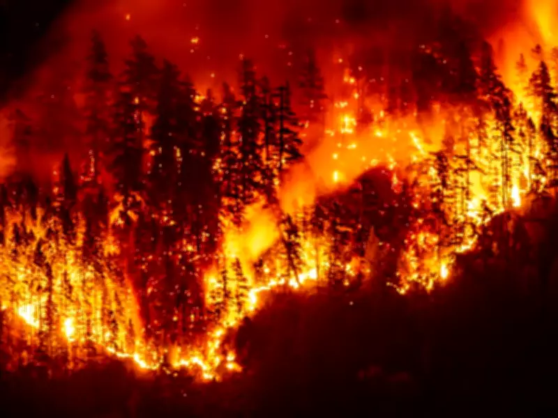 Wildfire Aftermath: Drinking Water Contamination Persists for Years, Study Reveals