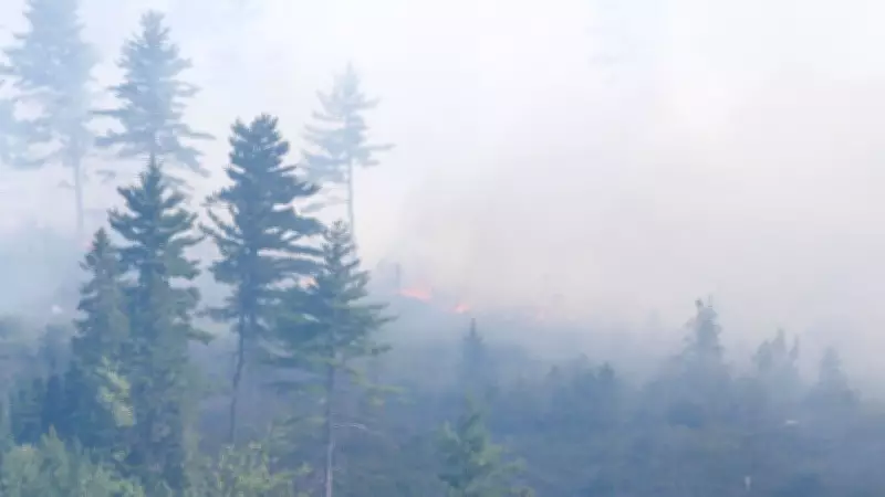 Wildfire Season Officially Begins in Nova Scotia and Prince Edward Island
