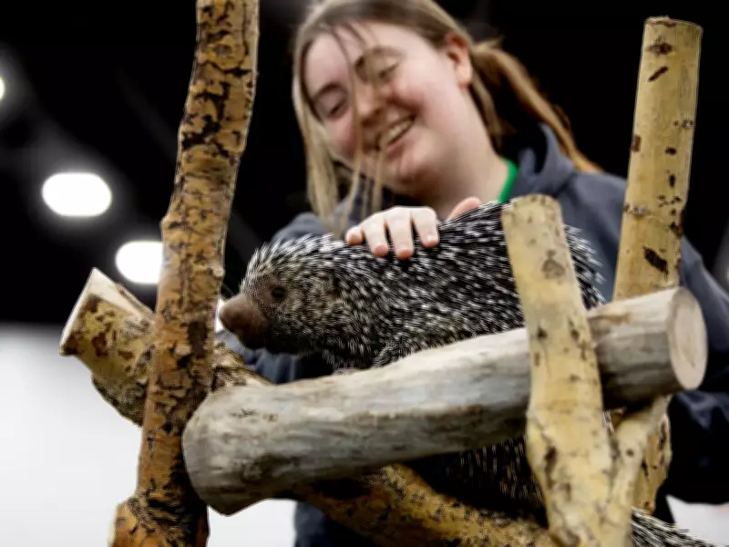 Wildlife Festival in Edmonton Showcases Animal Ambassadors and Family Fun